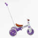Триколісний велосипед BestTrike LB-10571 з батьківською ручкою 176363 фото 3