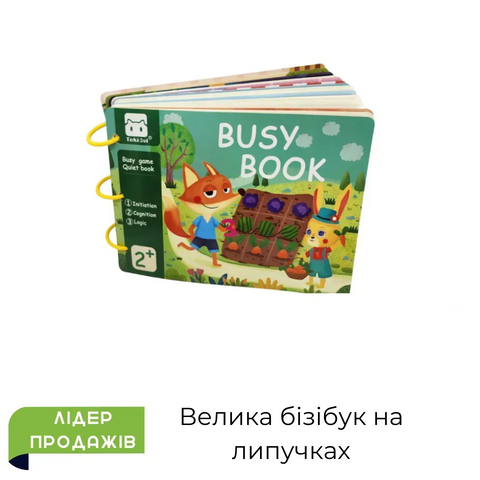 Бізі книга
